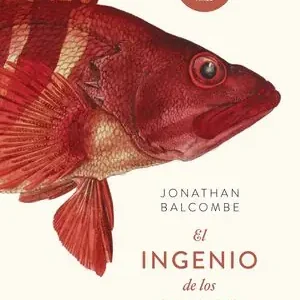 Großhandel EL INGENIO DE LOS PECES