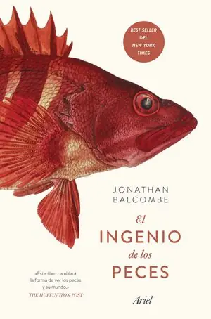 Großhandel EL INGENIO DE LOS PECES