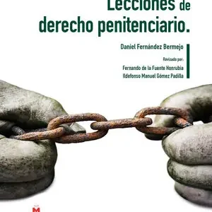 Ab Werk LECCIONES DE DERECHO PENITENCIARIO
