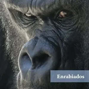 ENRABIADOS Aktuell