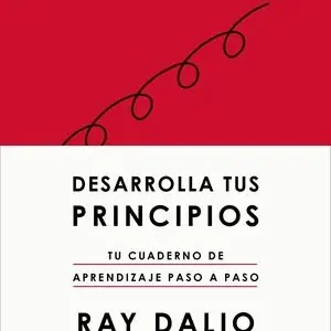 Günstig DESARROLLA TUS PRINCIPIOS. TU CUADERNO DE APRENDIZAJE PASO A PASO