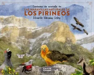 CUADERNO DE MONTAÑA DE LAS MARAVILLAS NATURALES DE LOS PIRINEOS Finale Aktion