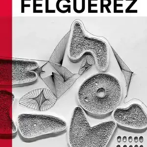 Beliebt MANUEL FELGUÉREZ. EL FUTURO ERA NUESTRO