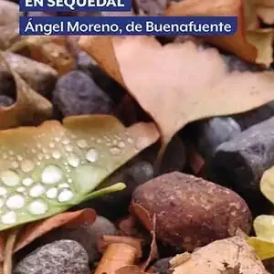 Solange Der Vorrat Reicht GOTAS DE AGUA EN SEQUEDAL