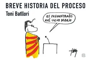BREVE HISTORIA DEL PROCESO Großhandel