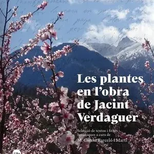 Top-Seller LES PLANTES EN L'OBRA DE JACINT VERDAGUER