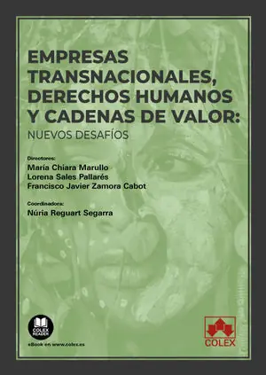 EMPRESAS TRANSNACIONALES DERECHOS HUMANOS CADENAS DE VALOR: NUEVOS DESAFÍOS Top-Angebot