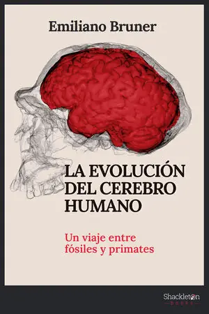 Geld-Zurück-Garantie LA EVOLUCIÓN DEL CEREBRO HUMANO. UN VIAJE ENTRE FÓSILES Y PRIMATES