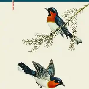 UNA MÚSICA Begrenztes Angebot