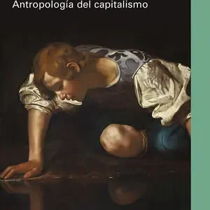 ABEJAS SIN FÁBULA. ANTROPOLOGÍA DEL CAPITALISMO Sichere Zahlung