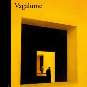 VAGALUME Mengenrabatt