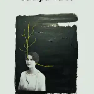 CUERPO VÍTREO Nur Für Kurze Zeit