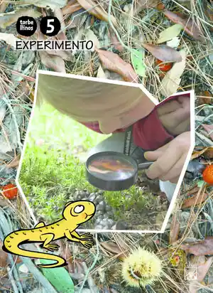Ausverkauf LIBRO EXPERIMENTO 5 AÑOS. TORBELLINOS