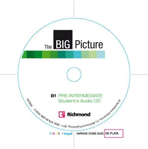 BIG PICTURE 2 WORKBOOK PRE-INTERMEDIATE [B1] Jetzt Zugreifen