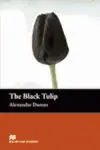 Sichere Zahlung MR (B) BLACK TULIP, THE