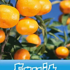 Sofort Bestellen OXFORD READ AND DISCOVER 1. FRUIT MP3 PACK