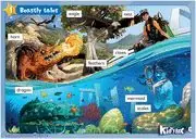 Exklusiv KID'S BOX FOR SPANISH SPEAKERS  LEVEL 6 POSTERS 2ND EDITION