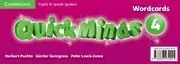 QUICK MINDS LEVEL 4 WORDCARDS SPANISH EDITION (PACK OF 79) Letzte Chance