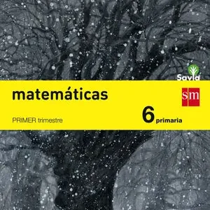 Begrenztes Angebot MATEMÁTICAS. 6 PRIMARIA. SAVIA