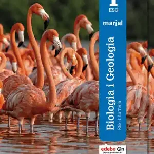 BIOLOGIA I GEOLOGIA 1 Schnäppchen