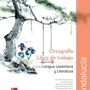 CUTX LENGUA CASTELLANA Y LITERATURA 2 ESO. LIBRO DE TRABAJO DE ORTOGRAFI A. ANDA Preis Gesenkt