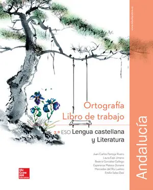 CUTX LENGUA CASTELLANA Y LITERATURA 2 ESO. LIBRO DE TRABAJO DE ORTOGRAFI A. ANDA Preis Gesenkt