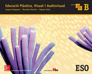 Gleich Bestellen EDUCACIÓ PLÀSTICA, VISUAL I AUDIOVISUAL. MOSAIC B