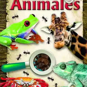 Expressversand ASOMBROSOS ANIMALES