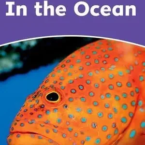 Direktkauf DOLPHIN READERS 4. IN THE OCEAN