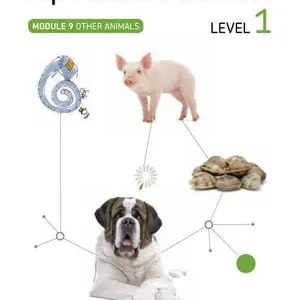 Aktuell TOP NATURAL SCIENCE 1 OTHER ANIMALS