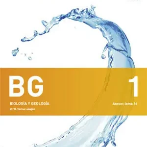 Sonderaktion BG 1 TRIM + SEPARATA GRUPO B (AULA 3D)