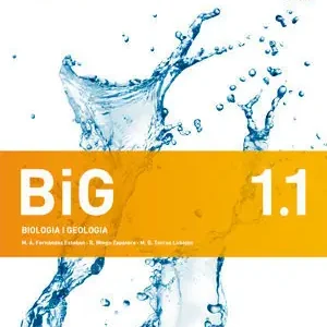 BIG 1 VAL TRIM (BIOLOGIA I GEOLOGIA) AULA 3D Schneller Versand