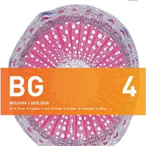 BG 4+ DOSSIER Preisknaller