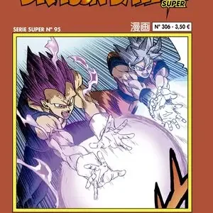 DRAGON BALL SERIE ROJA Nº 306 Top-Qualität