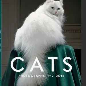 Top-Qualität WALTER CHANDOHA. CATS. PHOTOGRAPHS 19422018