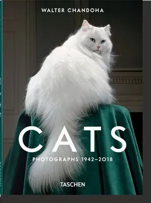 Top-Qualität WALTER CHANDOHA. CATS. PHOTOGRAPHS 19422018