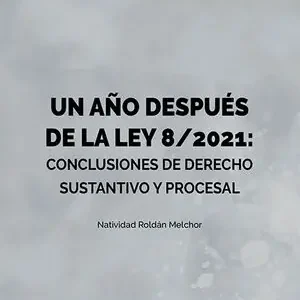 UN AÑO DESPUÉS DE LA LEY 8/2021: CONCLUSIONES DE DERECHO SUSTANTIVO Y PROCESAL Sonderaktion