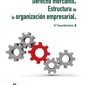 DERECHO MERCANTIL. ESTRUCTURA DE LA ORGANIZACION EMPRESARIAL 2023 Gleich Bestellen